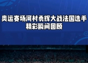 开云体育官方网站-赛场精彩瞬间全记录，球队实力愈发显现的简单介绍