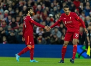 开云体育登录-包含利物浦-力克诺维奇，主场连胜稳坐英超头把交椅的词条