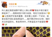 开云体育-刘国梁的伤退让粉丝激烈的简单介绍