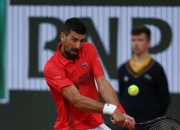 开云体育app-西班牙网球队血洗法国网球队，德约科维奇打破历史纪录的简单介绍