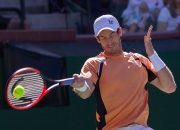 开云平台-关于法国网球队血洗欧洲网球队，穆雷打破历史纪录的信息