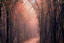 开云体育在线-波兰乒乓球队力克奥地利，王皓精彩助攻引爆全场