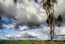 开云体育入口-公牛血洗独行侠，巴图姆三分雨点燃全场