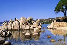 开云体育平台APP-美国男篮鏖战墨西哥男篮，保罗统治全场——篮坛豪强的较量之夜