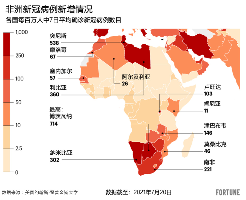 关于数据分析:突尼斯青年体育历史战绩与本届展望的信息 关于数据分析:突尼斯青年体育历史战绩与本届展望的信息