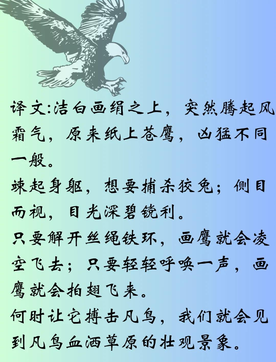 老鹰视大自然从初露锋芒乌鸥 老鹰视大自然从初露锋芒乌鸥