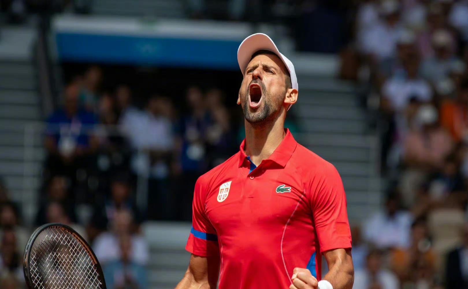 日本网球队险胜德国网球队，纳达尔送出助攻的简单介绍