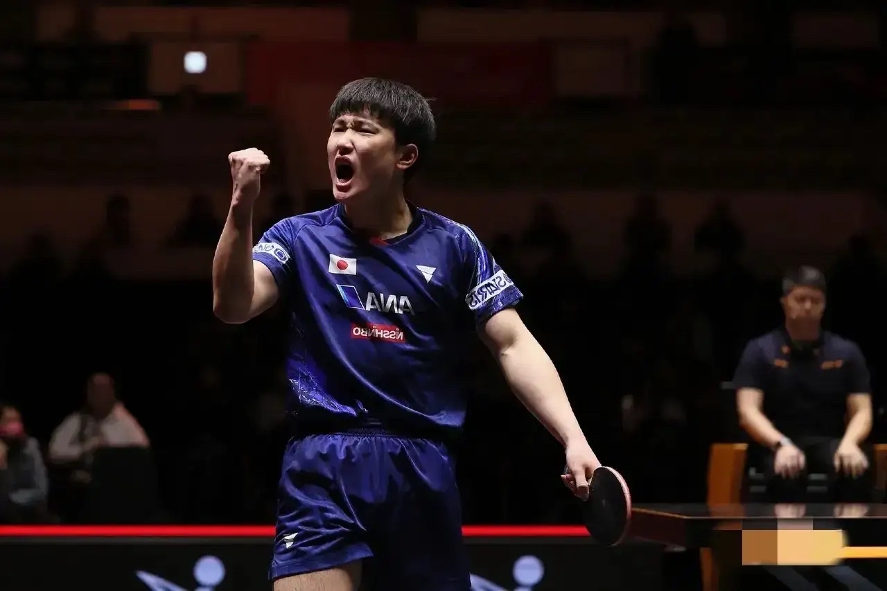 法国乒乓球队翻盘瑞典乒乓球队,张本智和统治全场的简单介绍 法国乒乓球队翻盘瑞典乒乓球队,张本智和统治全场的简单介绍