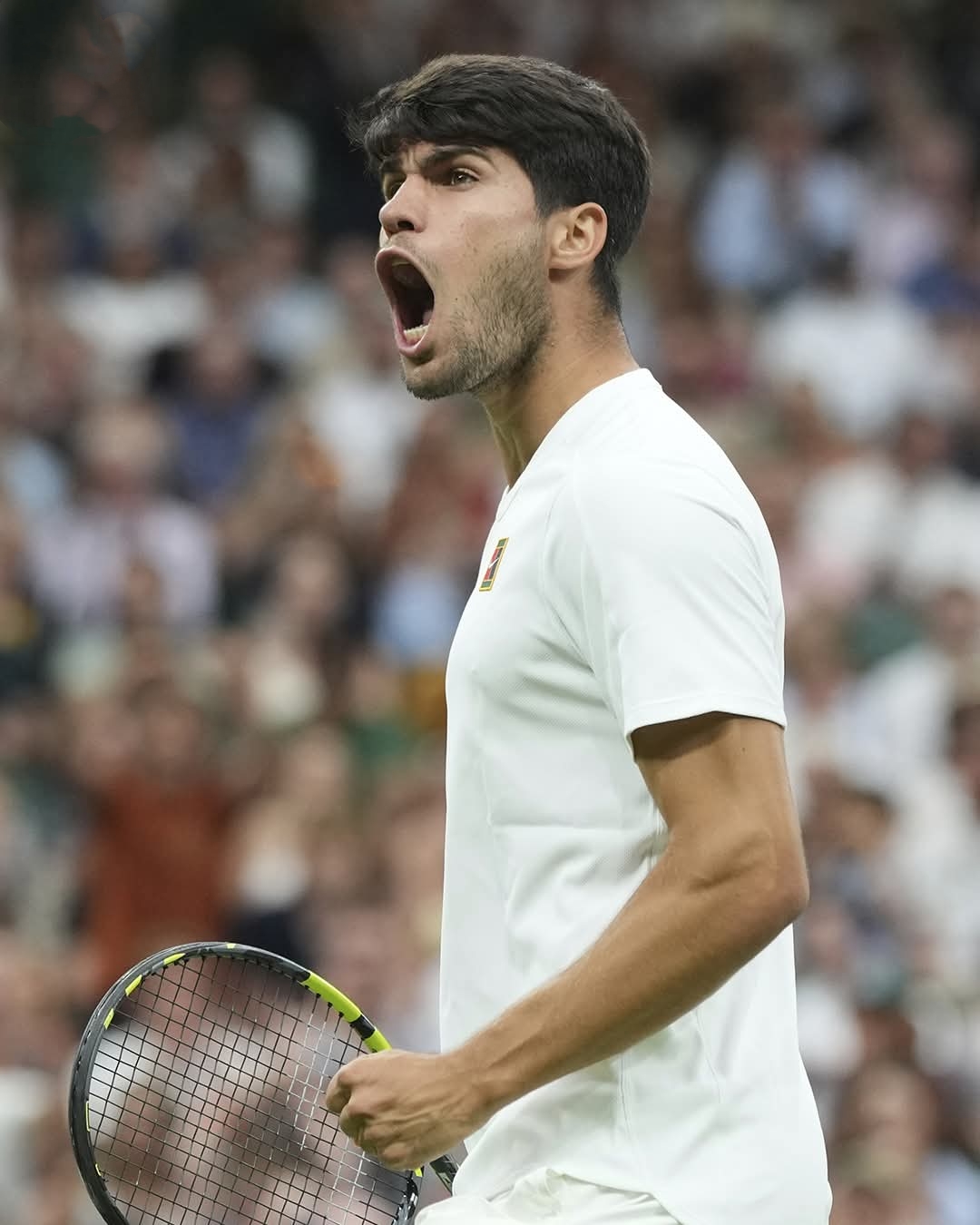 蒙特卡洛大师赛横扫联合杯,阿尔卡拉斯刷新纪录 蒙特卡洛大师赛横扫联合杯,阿尔卡拉斯刷新纪录